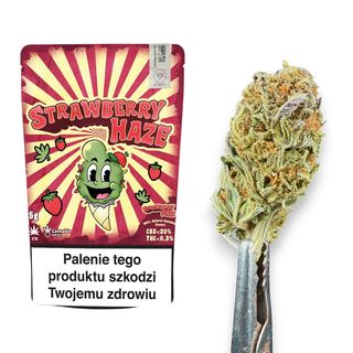 Susz CBD z akcyzą Cannabis Spot Strawberry Haze CBD 5 g