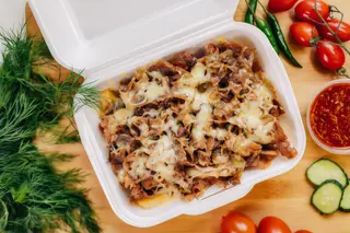 Kapsalon Hollandian średni