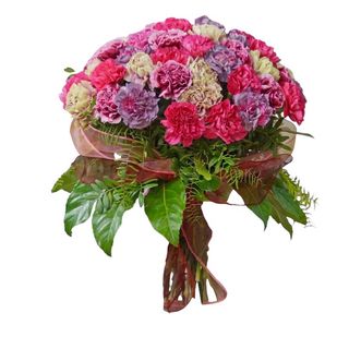 21 DUŻYCH KOLOROWYCH GOŹDZIKÓW DO WAZONU