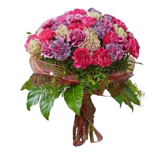 9 DUŻYCH KOLOROWYCH GOŹDZIKÓW DO WAZONU