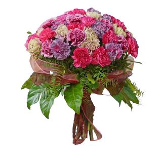 17 DUŻYCH KOLOROWYCH GOŹDZIKÓW DO WAZONU