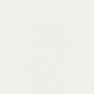 Pizza al Tartufo bianco 