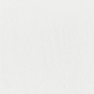 Aglio Olio e peperoncino z krewetkami 