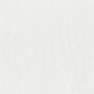 Bistecca di maiale con osso