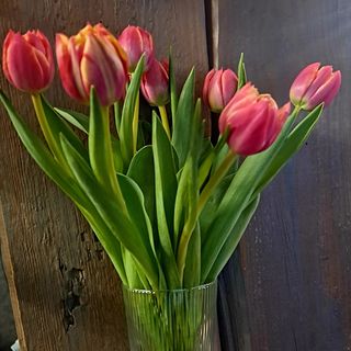 Różnokolorowe tulipany 10 szt . w szklanym wazonie.