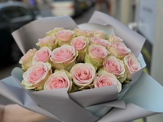 11 róż ekwadorskich różowych