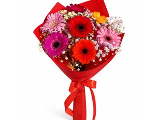 Bukiet 7 kolorowych gerber