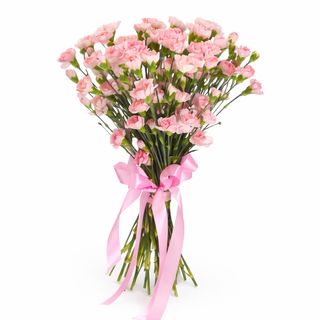 25 goździków mini różowych przewiązanych wstążką