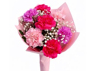 Bukiet z  7 kolorowych goździków