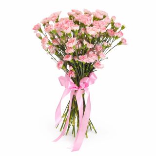 25 różowych mini goździków przewiązanych wstążką