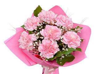 Bukiet z 7 różowych Goździków