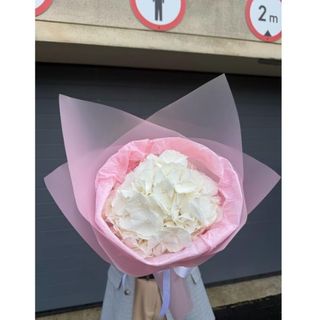 Bukiet hortensja biała