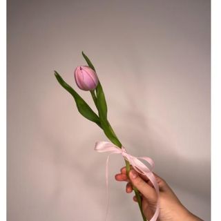 Tulipan różowy 1 szt