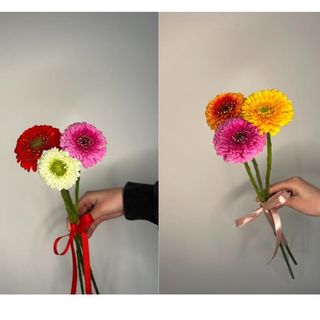 Gerbera 3 szt