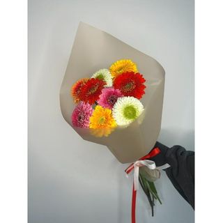 Gerbera 9 szt w opakowaniu