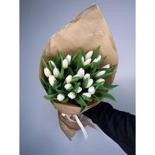 Tulipany biały 25 szt