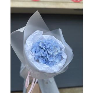 Bukiet hortensja niebieska