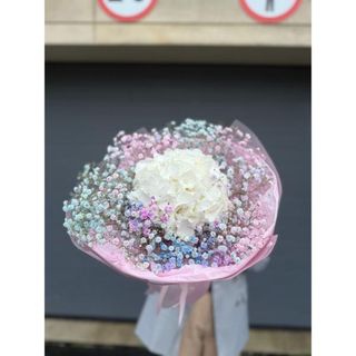 Hortensja biała z gipsówką