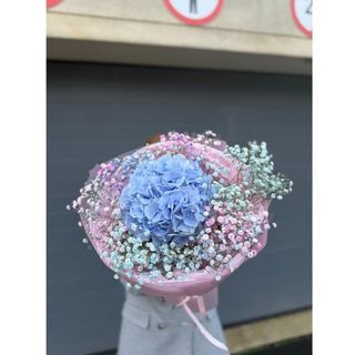 Hortensja niebieska z gipsówką