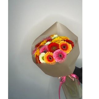 Gerbera 20 szt w opakowaniu