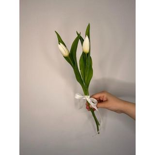 Tulipany biały 2 szt