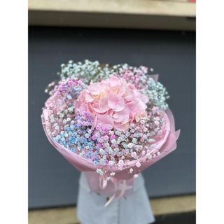 Hortensja różowa z gipsówką