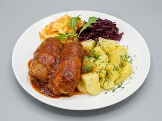 Gołąbek