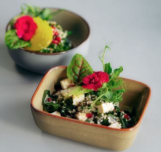 Sałatka Wakame