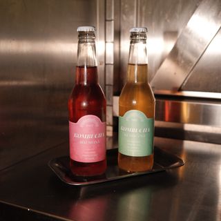 Świt Kombucha