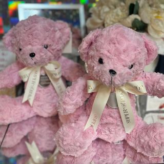 Maskotka miś (0002)