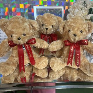 Maskotka miś (0001)