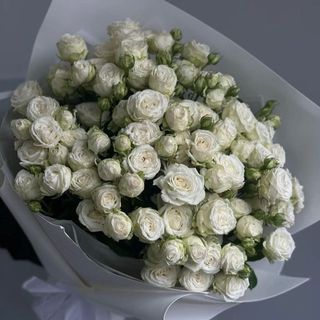 Bukiet n.27 z Róży gałązkowej 