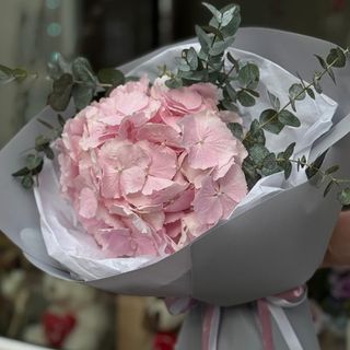 Bukiet n.34  z Hortensja 