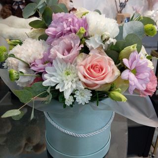 Flowerbox mix kwiatów Koliorowy