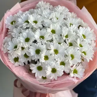 Bukiet n.23 z Margarytki 5 szt