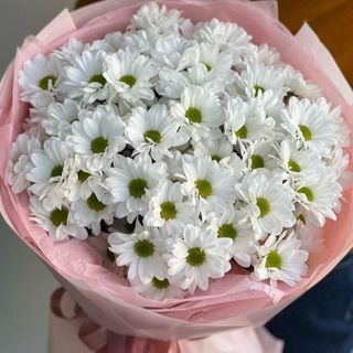 Bukiet n.23 z Margarytki 5 szt