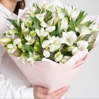 Bukiet n.158 z Alstroemerii 15 szt