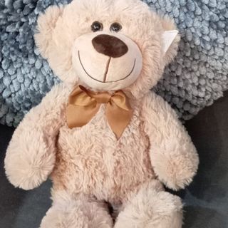 Maskotka miś brązowy (Rozmiar M)