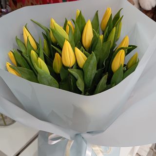 Bukiet n. 63  Tulipany  żółty 19 szt