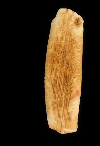 Tortilla mięso kraftowe z surówkami