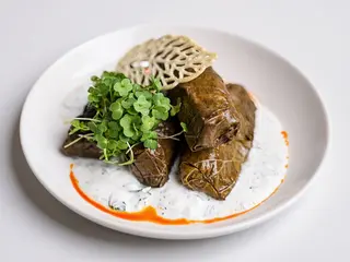 Dolma