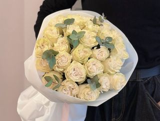 Róża Moonstone vs eukaliptus