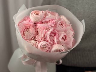 Ranunculus Pink Lady