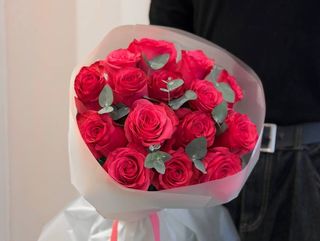 Róża Lola vs eukaliptus