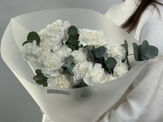 Dianthus white vs eucaliptus