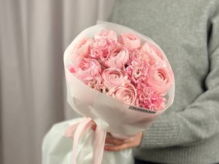 Lady Pink vs Eustoma Pink