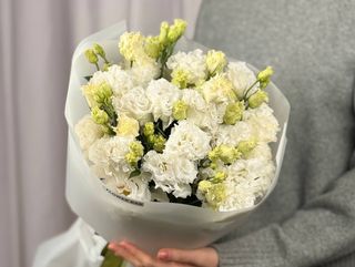Eustoma White