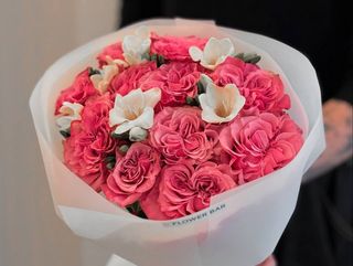 County Blue vs frezja