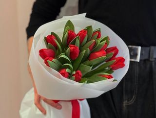 Tulip Red