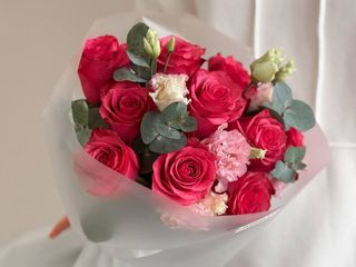 Lola vs eukaliptus vs eustoma